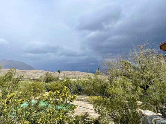 iPhone photo of a desert landscape with bright yellow creosote & other green desert plants & trees blooming in the foreground, a swimming pool partly visible, dark blue & purple storm clouds above, & dark blue & grey mountains