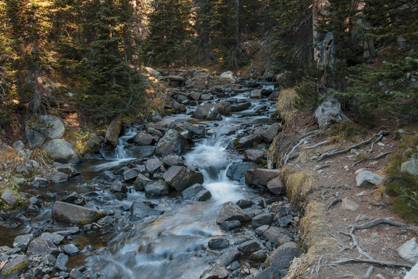 Photo. A small stretch of a mountain stream falling along the path to Mitchell Lake in the Indian Peaks Wilderness Area along the front range of the Rocky Mountains in northern Colorado. The stream bed is filled with rocks and the water is tumbling over them. There are trees on either side of the stream, and sunlight is dappling the leaves and ground on the left side of the image. October 2014.