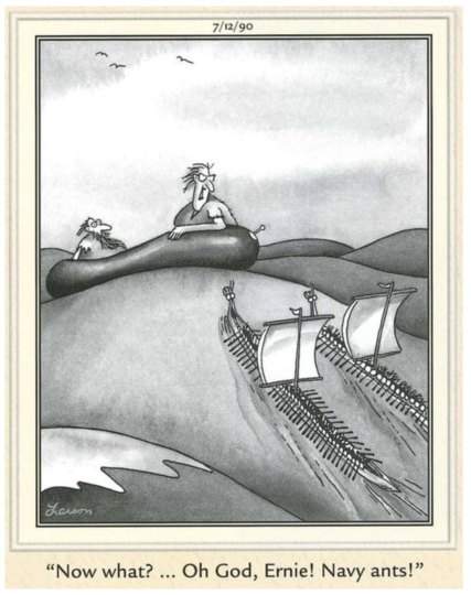 A Far Side cartoon that depicts a couple floating in the ocean on a life raft. The woman is looking at two very, very long, very small sailing ships (they look like Viking ships) full of ants rowing, and they're coming for the raft. She says to the man, "Now what? ... Oh God, Ernie! Navy ants!"