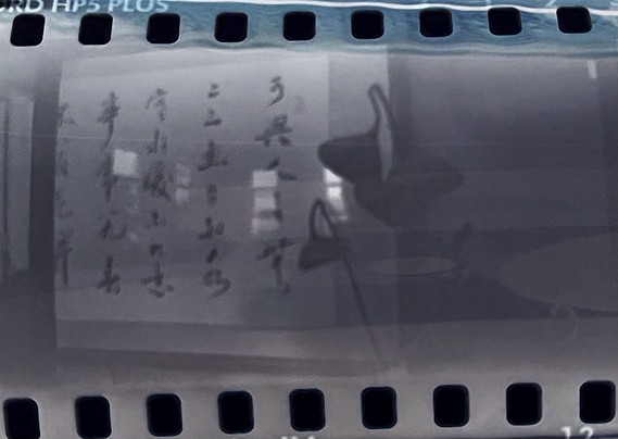 A scan of a 35 mm film negative