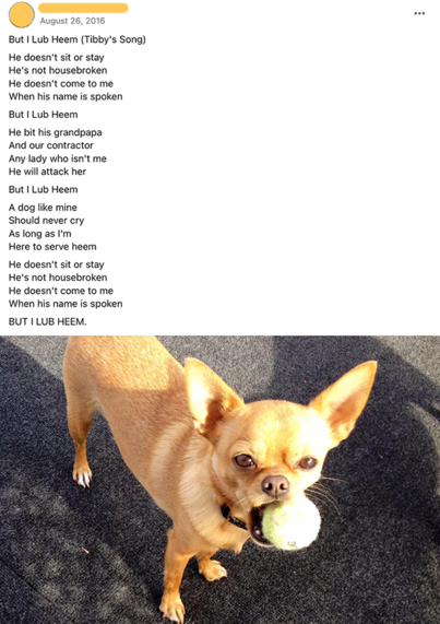 Screenshot of an old social media post I wrote in 2016--it features an iPhone photo of my itty-bitty tan colored Chihuahua with his big brown eyes, giant ears, & perfectly round cranium holding a tiny tennis ball in his mouth & it reads: BUT I LUB HEEM (TIBBY'S SONG) He doesn't sit or stay He's not housebroken He doesn't come to me When his name is spoken But I Lub Heem He bit his grandpapa And our contractor Any lady who isn't me He will attack her But I Lub Heem A dog like mine Should never c…