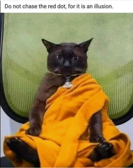 Meme. Photo of a dark gray cat propped up against a green cushion as if it were sitting in lotus position, wrapped in an orange Buddhist robe, looking at the camera.
Caption: Do not chace the red dot, for it is an illusion.