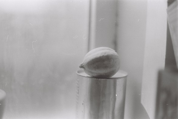 A black and white photograph of a dried lemon on a tin can.