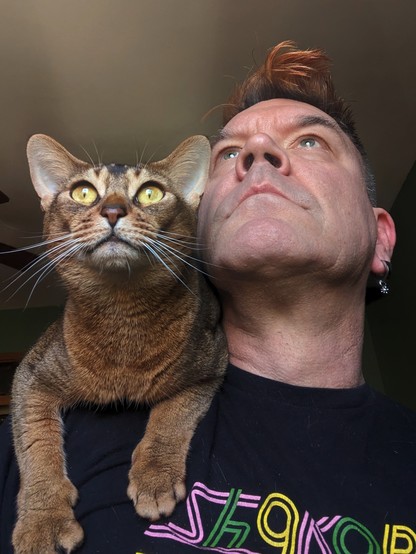 Low angle of a middle-aged white man with spiky orange hair and a dangly earring with a ruddy Abbysinian cat on his shoulder. They are both staring into the future. 