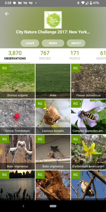 Screenshot of 2017 inaturalist City nature challenge with showing 3870 observations and 171 observers.