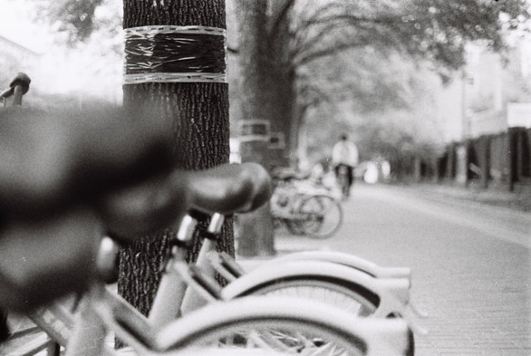 A black and white image of a line of bicycles and a man riding towards the camera.