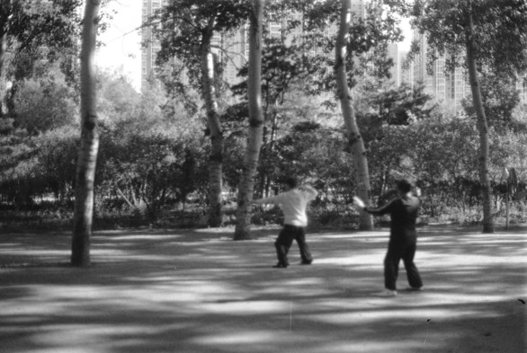 A black and white image of two people doing Taichi in a park