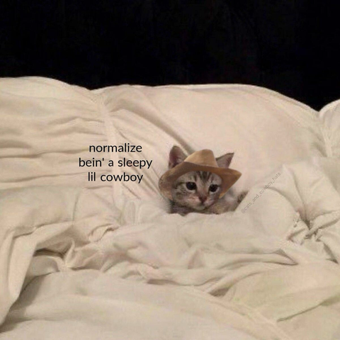 Meme featuring a teeny tiny little tabby kitten wearing a teeny tiny little cowboy hat curled up in the middle of a sea of white puffy duvet—it reads NORMALIZE BEIN’ A SLEEPY LIL COWBOY