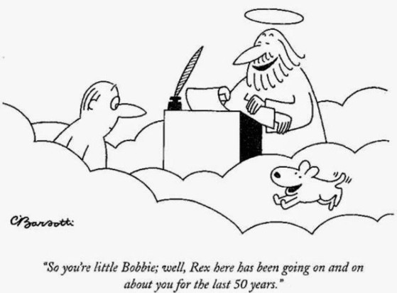 Screenshot of an old Charles Barsotti cartoon that shows St. Peter at his desk at the Pearly Gates--a man is just arriving, & a little dog (The Pup) with a big grin & a very waggy tail is running out to greet him--St. Peter is saying to the man, "So you're little Bobbie; well, Rex here has been going on & on about you for the last 50 years."