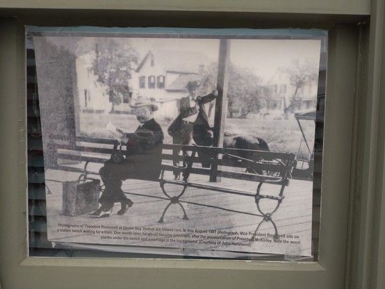 Photographs of Theodore Roosevelt are indeed rare.  In this 1901 photograph, Vice President Roosevelt sits on a wooden station bench waiting for a train. One month later he would become president, after the assassination of President McKinley. Note the wood planks under the bench and a carriage in the background (Courtesy of John Hammond)