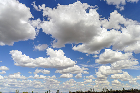 Panoramic photo of mostly white clouds in the Colorado sky. I call them Simpson Clouds, from the opening credits on The Simpsons. Except the gray bottoms of the clouds gives it a slightly sinister look, I think. The view is looking north.  May 2024.
