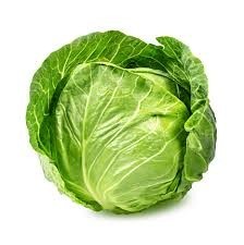 White background, green cabbage
