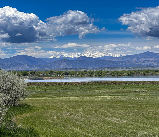 Panoramic photo. Scrub grass in foreground with a flowering bush at left. A small lake in the mid-ground, behind which are the foothills and some peaks of the Rocky Mountains. The tallest in the middle is Mount Meeker, and just to its right is Longs Peak. (But it’s really just the perspective that makes Meeker look higher than Longs.) Above it all are more white clouds and blue skies. May 2024.