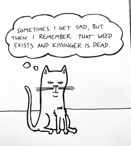 a cat sits and thinks "sometimes i get sad, but then i remember that weed exists and kissinger is dead."