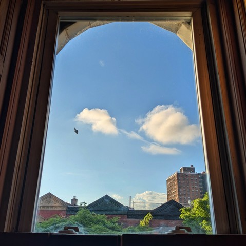 Looking through an arched window an hour after sunrise there are two prominent puffy white clouds in the middle of the blue sky, with a few other smaller clouds around them. A bird is flying by.  Pointed roofs of Harlem brownstones with red brickwork are across the street, and a taller apartment building can be seen in the distance. The green tops of two trees are entering frame on the bottom and right.