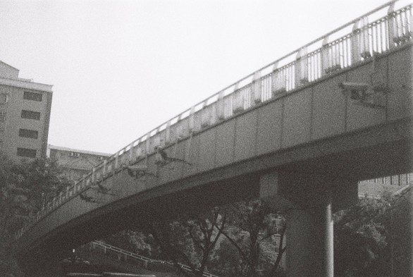 A black and white image of a bridge over a road with surveillance cameras attached to its side.