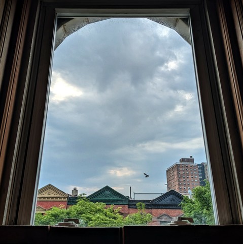 Looking through an arched window two hours after sunrise the sky is full of large chunky blue-grey clouds. Pointed roofs of Harlem brownstones with red brickwork are across the street, and a taller apartment building can be seen in the distance. A bird is flying by. The green tops of two trees are starting to fill the frame on the bottom and right.