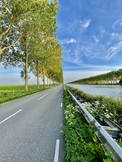 But with such straight lines it almost looks multiple photos.

A road with trees along the side on the left, on the right a water way and barricades so divers won’t drive into the water 
