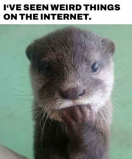 Otter says: I'VE SEEN WEIRD THINGS
ON THE INTERNET.