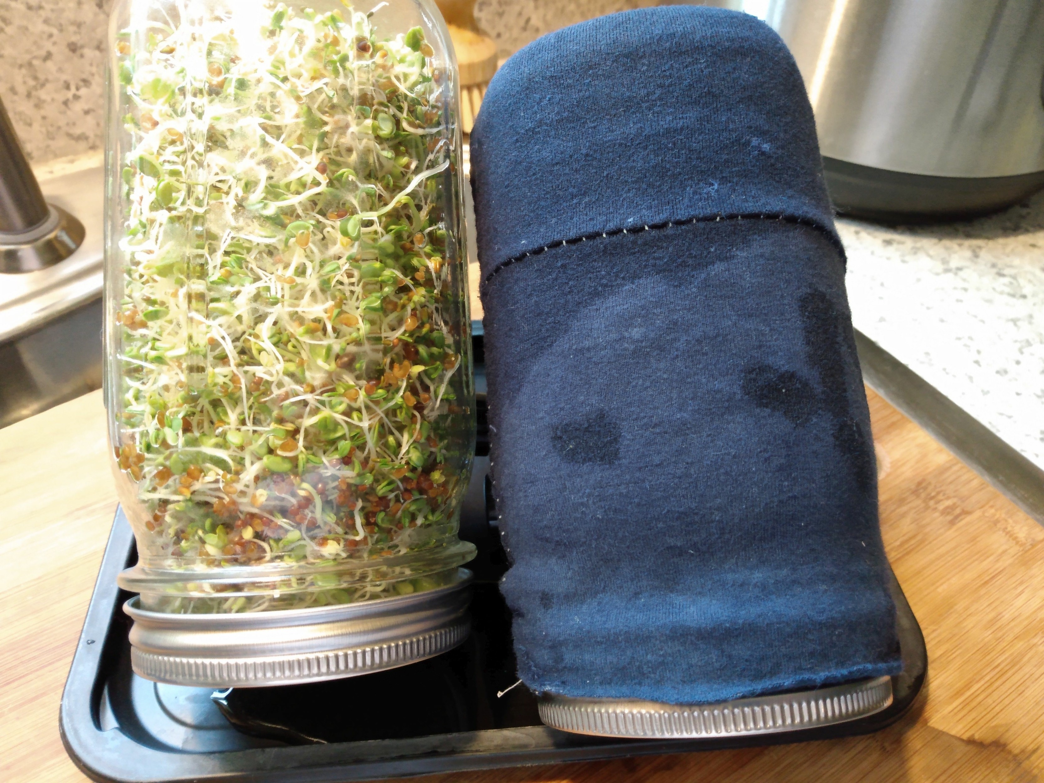 Right: Jar of mung bean sprouts encased in a sleeve made of recycled navy blue jersey fabric scraps stitched into a tube. The 