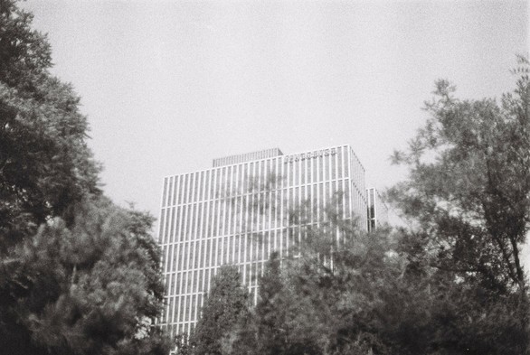 A black and white image of a building partly sheltered in tree branches.
