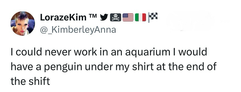 Screenshot of a social media post that reads, “I could never work in an aquarium I would have a penguin under my shirt at the end of the shift”