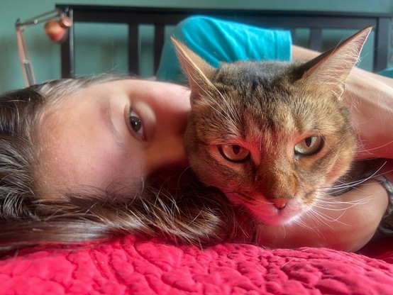 A young woman and an Abyssinian cat staring into the camera while lying on a red blanket. The cat has outrageously flamboyant curved white whiskers.