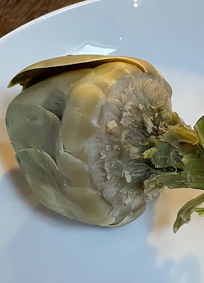 The Stegosaurus head of an artichoke in its full glory (bar some lower leaves. Head pointing left. Presented on a white plate.