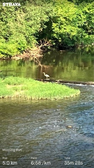 A serene river scene with lush greenery, featuring a heron standing on a log in the water. Running statistics overlay shows 5.0 km distance, 6:58/km pace, and 35m 28s duration.