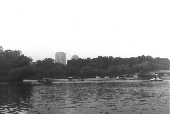 A black and white image of a park. Several boats are roaming in the lake at the back of the image closer to the trees. A couple of building are standing afar.