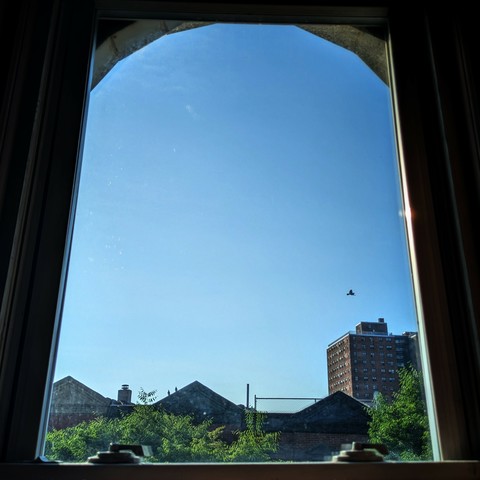 Looking through an arched window two hours after sunrise the blue sky is cloudless and a bird is flying by. Pointed roofs of Harlem brownstones are silhouetted across the street, and a taller apartment building can be seen in the distance. The green tops of two trees are starting to fill the frame on the bottom and right.