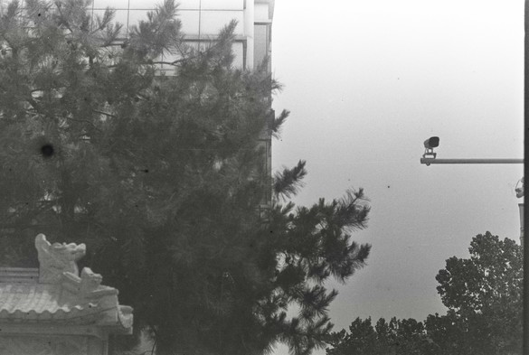A black and white image of a surveillance camera by the side of a pine tree and a temple, seen with a black spot caused by potential light leak.