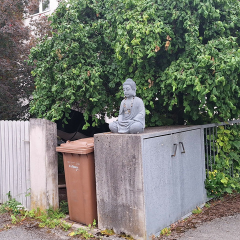 Eine Buddhastatue sitzt auf einen Mülltonnenhäuschen vor einem Einfamilienhaus. Daneben eine Biomülltonne.