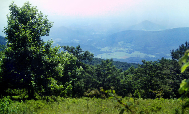 The sky is clear but hazy and gray. Objects grow increasingly bluish and indistinct with distance. We are at a lookout on the crest of the Blue Ridge, looking out over an overgrown field and down a wooded mountainside into the foothills and the valleys they enclose. The nearest valley is a swath of green fields and small farms surrounded by forest. It is very indistinct in the thick humidity. The valleys and hills beyond are ghost in the haze.