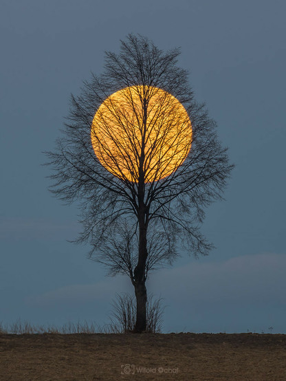 Full Moon by Witold Ochał.
