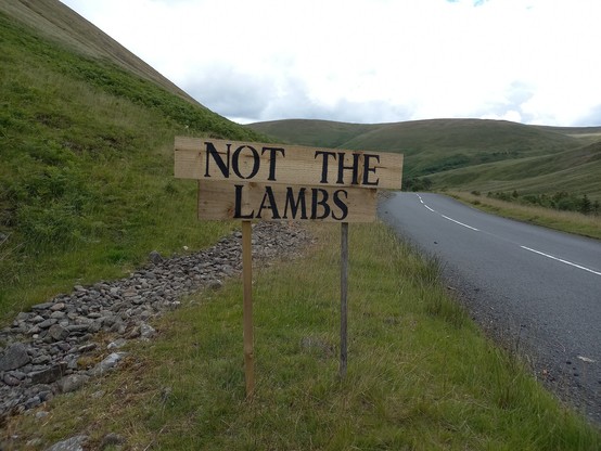 roadside sign in rural Scotland just reading: NOT THE LAMBS