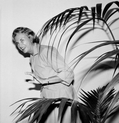 photo of Sandra Day O'Conner laughing as she looks around a huge house plant. She is a white woman with light hair.
