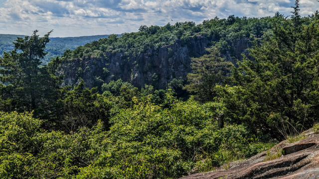 A soft blue sky with numerous passing clouds. From a fissured gray rock outcrop atop a mountain, we are looking out at a scene of mostly forest. A few tufts of tall grass grow through a few of the fissures in the rock. A forest of cedar and hardwoods rings the edge of the outcrop, but does not block the views. The flank of a nearby peak facing us has impressive rock cliffs. Beyond that is a narrow valley and a long, flattish-topped wooded ridge runni8g along the horizon. A single turkey vulture soars majestically above the nearby cliffs.