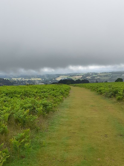 View from hillside down to a valley with fields and woodland. Dark, lowering clouds in the sky, but a line of sunshine behind the clouds illuminates the fields. Path bordered by bracken in the foreground. Path leads downhill.