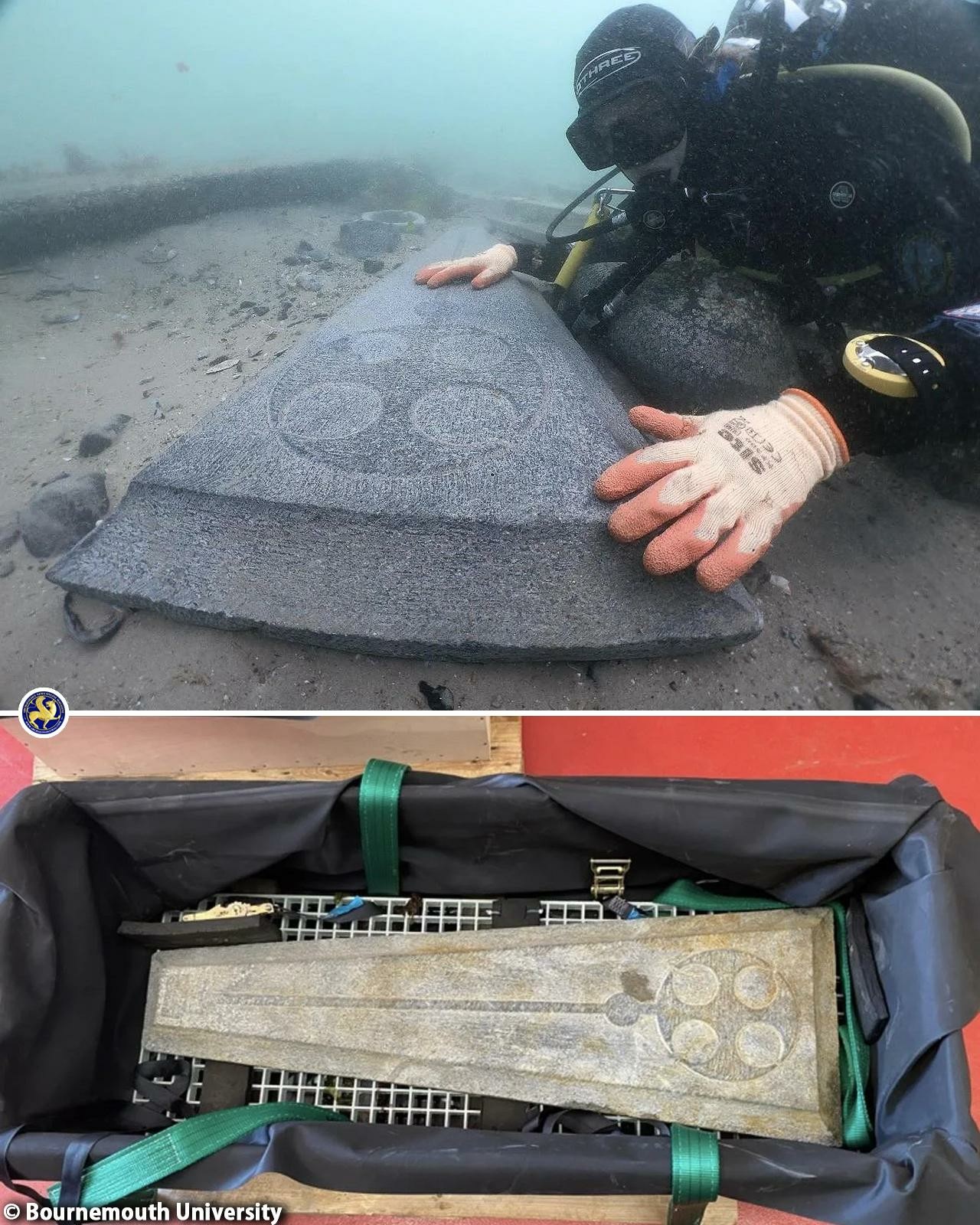 Regina Kammer (kammeroticamastodon.world) Mastodon