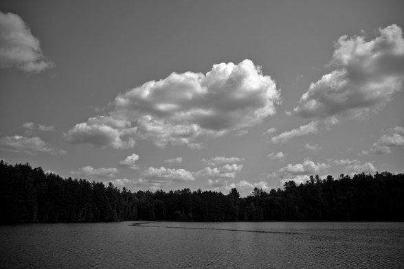 A wide angle view of a lake. Wind conditions create a dark curve in the water for poorly understood reasons. Clouds look majestic.
