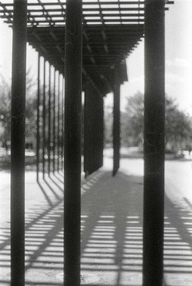 A black and white image of shadows cast by light on pillars of a construction