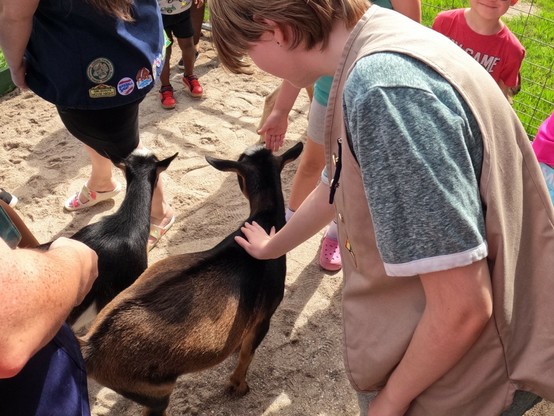 Picture of a Girl Scout petting a goat. 