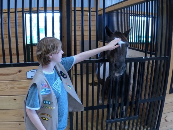 Picture of a Girl Scout petting a pony. 