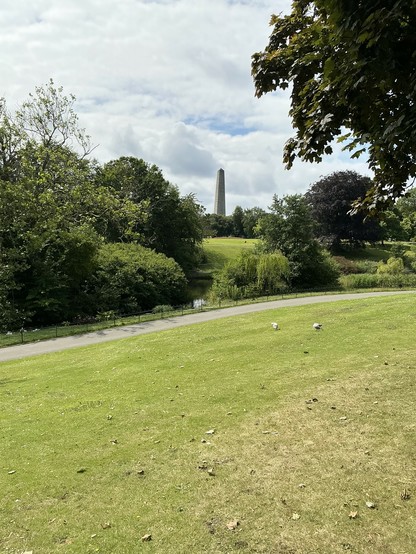 A tall brown obelisk (The Wellington Monument in Phoenix Park) in the distance, with a bunch geese on the grass closer. 
