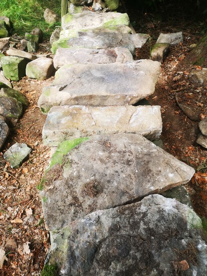 In the rebuild of a dry stone wall, there is a layer of throughbands. These are wide, flattish stones that go all the way through the wall, even projecting a little, to tie the two sides of the wall together. 