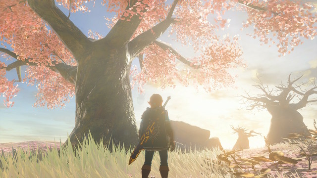 Tears of the Kingdom Screenshot: Link standing by a large tree with pink blossoms, lit by bright sunlight.