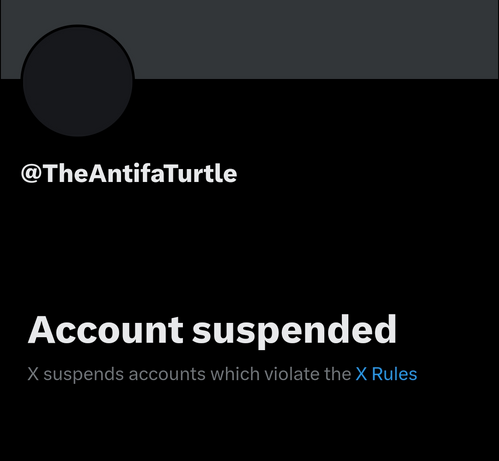 @TheAntifaTurtle

Account suspended

X suspends accounts which violate the X Rules

