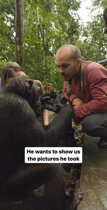 A chimpanzee swipes through images on a touchscreen on the back of a digital camera as a person watches nearby. The caption reads “he wants to show us the pictures he took”