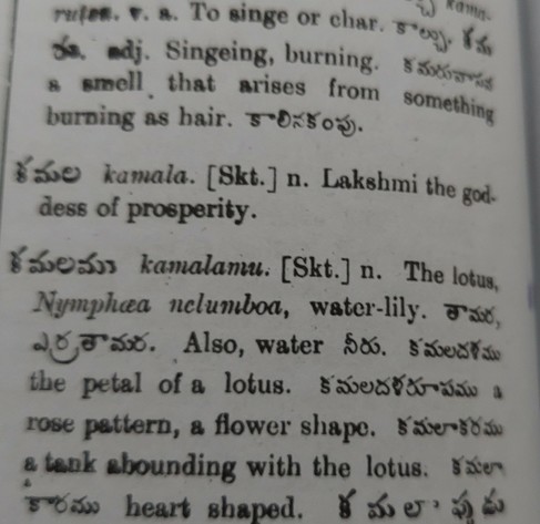 Picture of a dictionary entry showing the English translation, from Telugu, of the words 